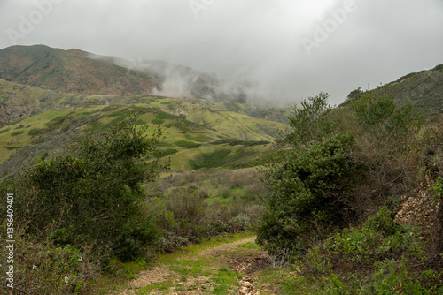 Obraz na płótnie Clouds and Fog Waft through Canyon on Santa Cruz Island w salonie