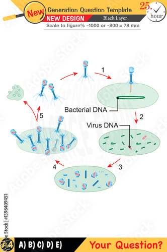 Editable designs for biology emphasize key concepts and integrate numerical and verbal lessons. Including next-generation problems, these templates are tailored for high and middle school exams