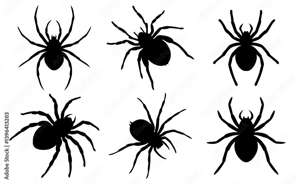 Spider Collection Black Silhouette Vector Design Spider Collection Black Silhouette Vector Design