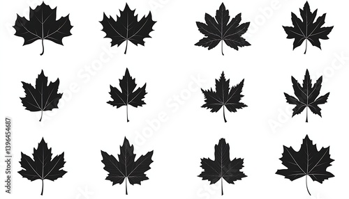 Maple Leaf Silhouettes
