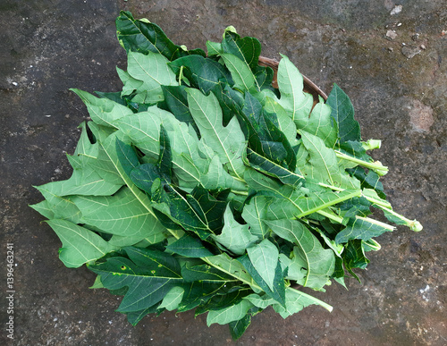Freshly harvested papaya leaves prepared for cooking. A traditional ingredient known for its slightly bitter taste and rich nutritional value