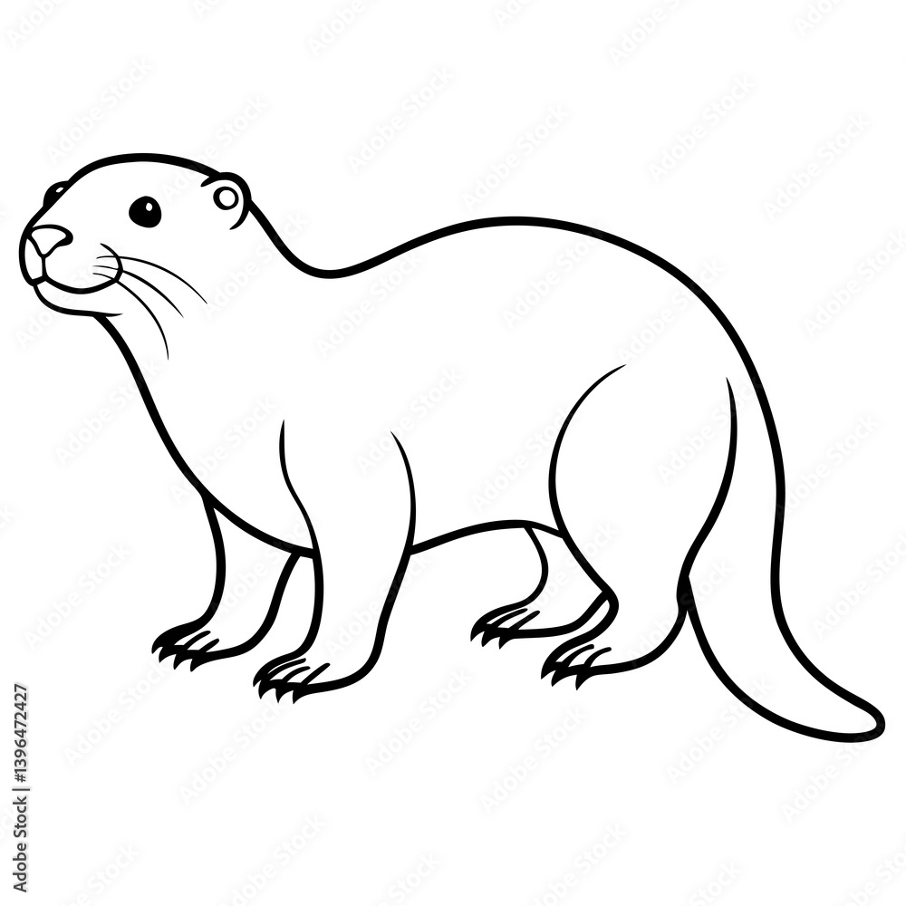 Full size Giant otter Full size Giant otter