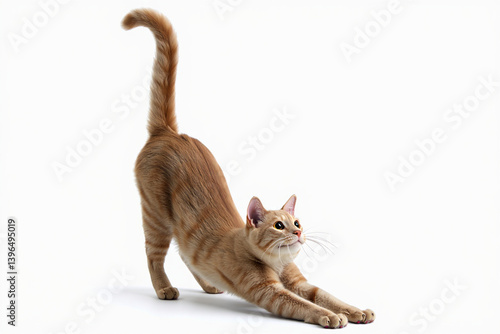 Charming 3D Render of a Stretching Cat on White Background
