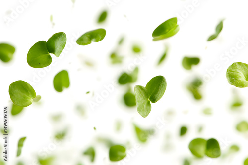 Green Leaves Falling Gracefully Down