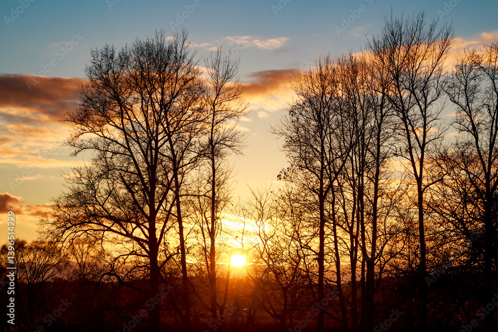 Fototapeta premium The sunset is bright behind the trees in October