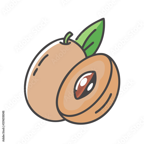 sapodilla fruit icon, sapodilla fruit vector illustration-simple illustration of sapodilla fruit, perfect for sapodilla fruit logos and icons