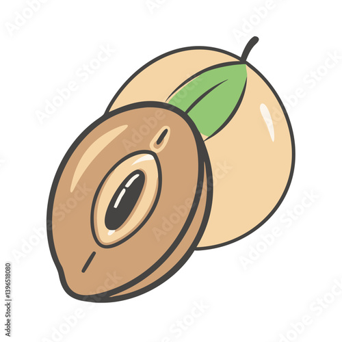 sapodilla fruit icon, sapodilla fruit vector illustration-simple illustration of sapodilla fruit, perfect for sapodilla fruit logos and icons