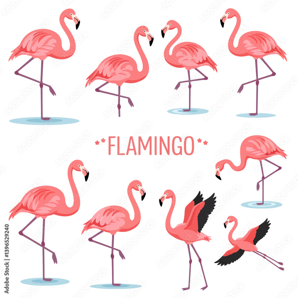 Fototapeta premium Pink Flamingo Birds Vector Illustration Set.