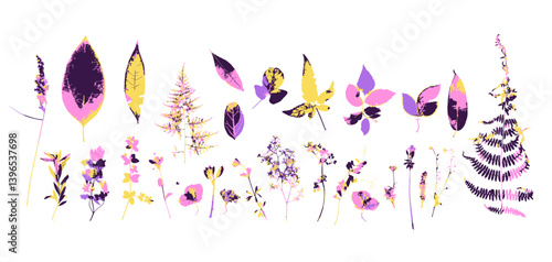 Rough edges dried floral funky purple and yellow silhouettes set. Boho minimalist wild herb stamps. Botanical rustic elements bundle isolated on white background.