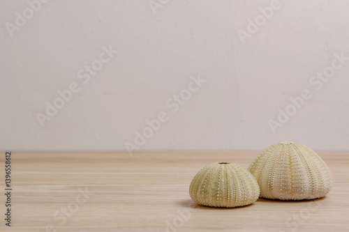 Fotografie two sea urchin skeletons put on wood table with blurred concrete wall background