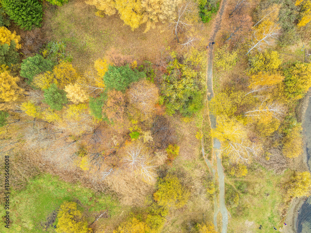 Aerial drone view of stunning colorful autumn fall forest. Aerial drone view of stunning colorful autumn fall forest.