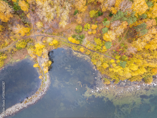 Photography Colorful autumn forest with trees on the shore of a blue lake - top aerial view