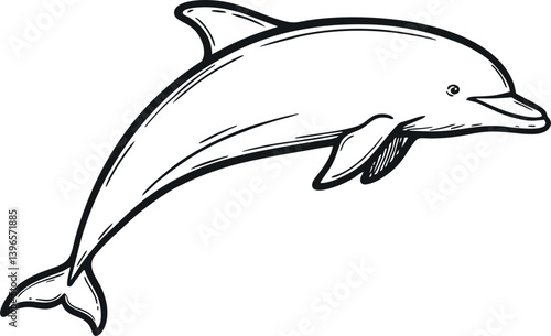 hand draw dolphin vector design mono color
