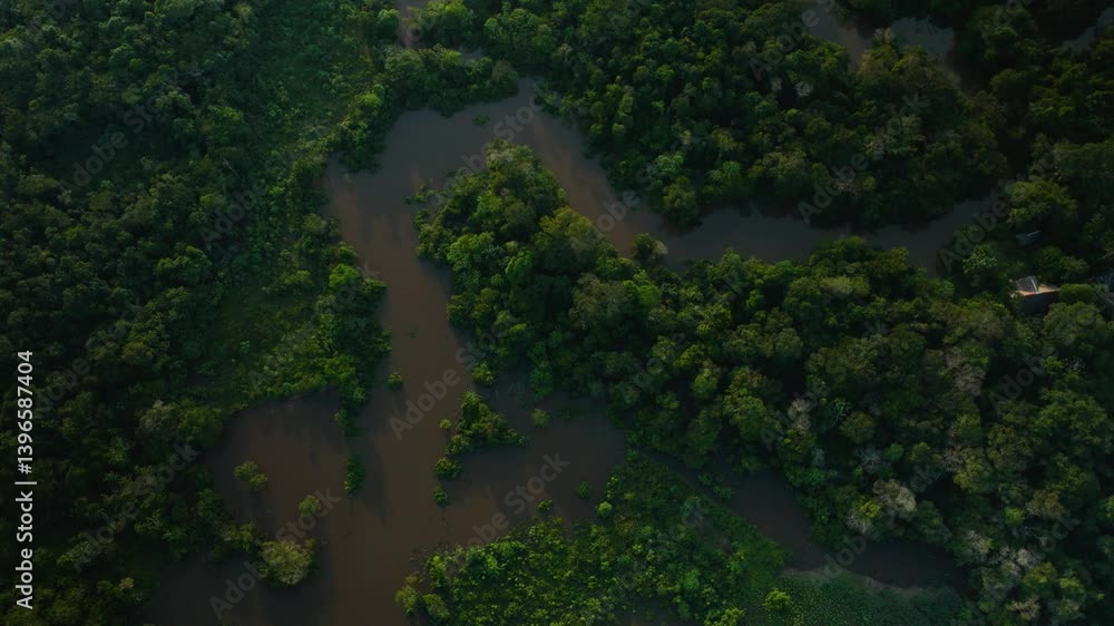 Aerial View of Amazon River Tributary Near Iquitos - Jungle, Water and Tree Reflections - Stunning Drone Footage Aerial View of Amazon River Tributary Near Iquitos - Jungle, Water and Tree Reflections - Stunning Drone Footage
