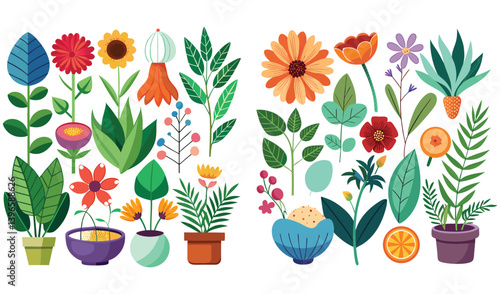 spring flowers in pots set