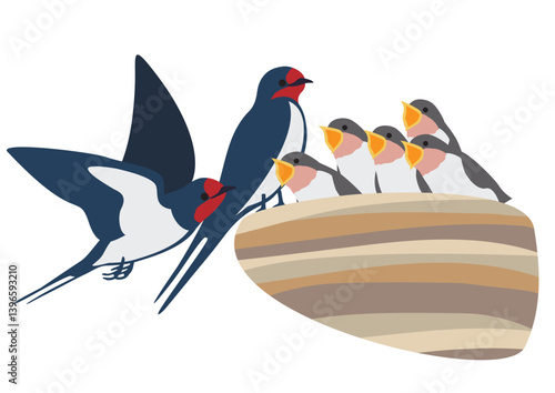 餌をねだるツバメの雛と親鳥のベクターイラストセット