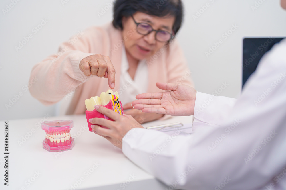 Elderly Patient consulting Dentist to Tooth disease, Senior Health Medical Diagnosis. Anatomy teeth model for Oral Teeth decay, Scrape off tartar. March Oral health, Dentist Day, False Teeth concept Elderly Patient consulting Dentist to Tooth disease, Senior Health Medical Diagnosis. Anatomy teeth model for Oral Teeth decay, Scrape off tartar. March Oral health, Dentist Day, False Teeth concept