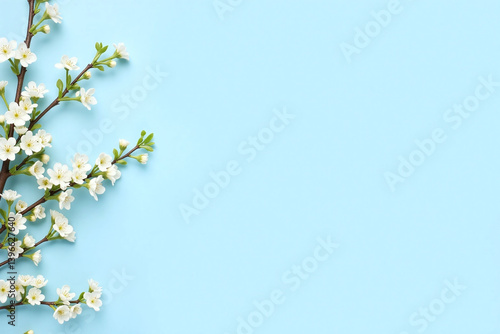 Wallpaper Mural white flowers on a blue background Torontodigital.ca