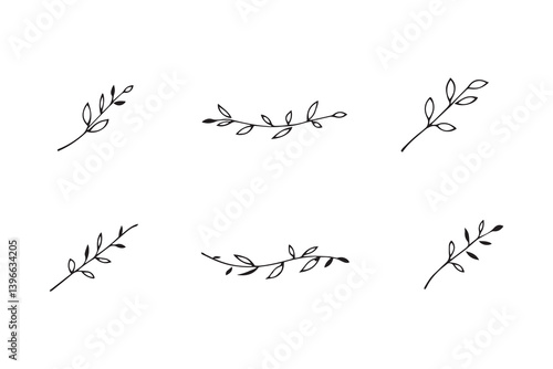 Willow Leaf line art illustration