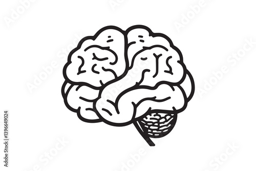 Brain line art illustration
