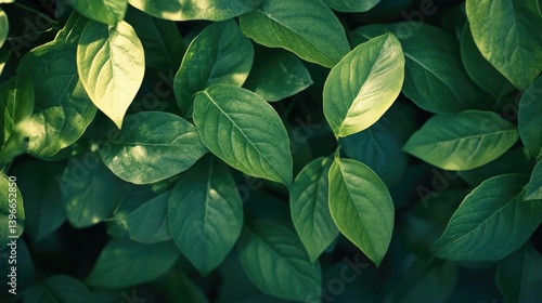 Wallpaper Mural A symbol of waste recycling with green leaves, environmental protection concept Torontodigital.ca