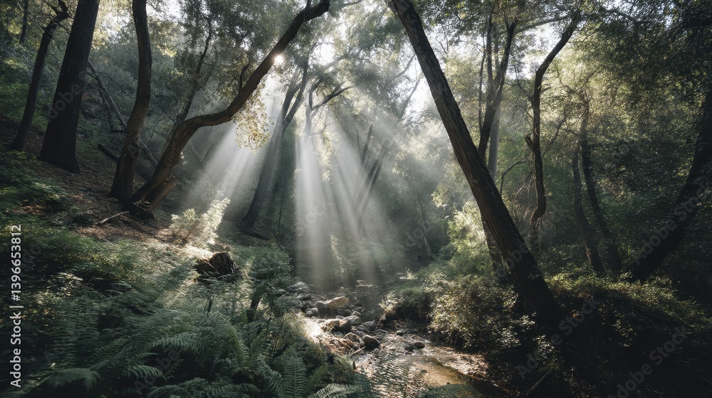 Obraz premium Sunlight streaming through leaves in a lush forest, ideal for a walk - exploration bright hour ecosystem