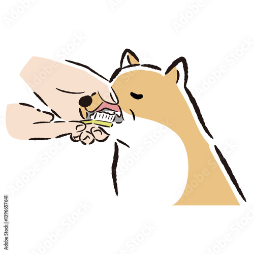 シニア犬の歯みがきの手描きイラスト