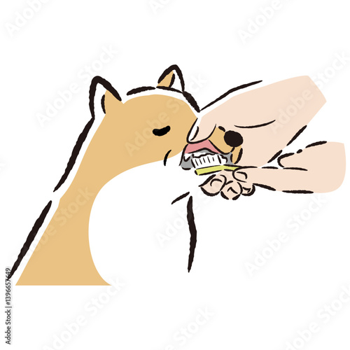 シニア犬の歯みがきの手描きイラスト