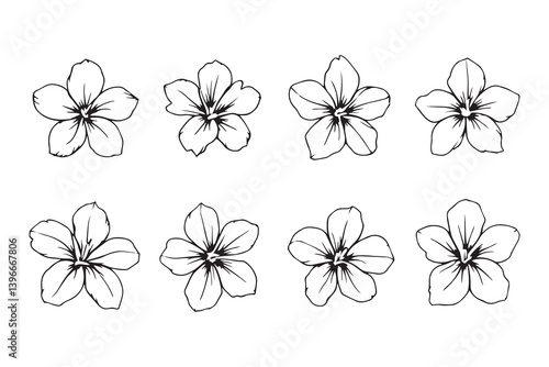 Hawaiian Flower line art illustration