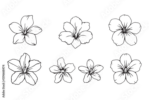 Hawaiian Flower line art illustration