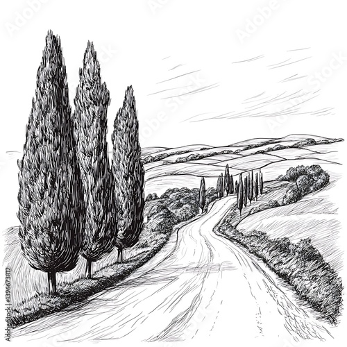 Sketch of a winding road through a Tuscan landscape with cypress trees. (3)