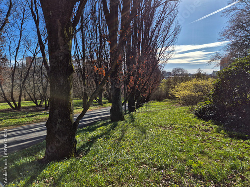 Photography Park