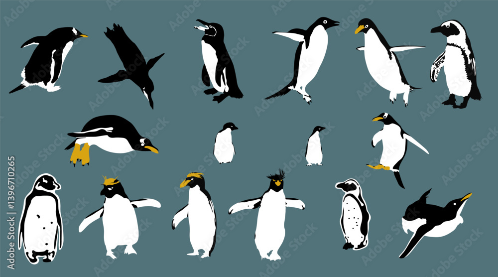 Obraz premium Penguin vector set, Cute penguin collection. Vector illustration
