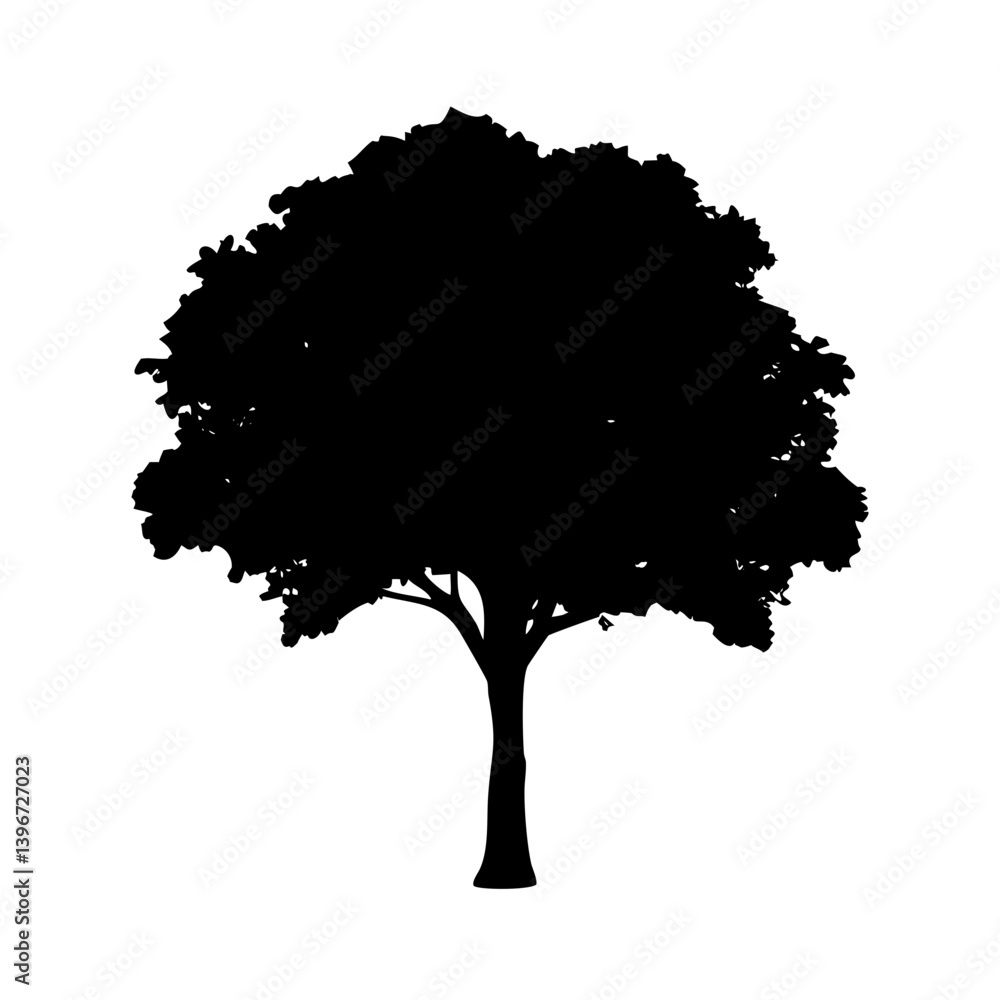 Fototapeta premium teak tree icon, teak tree silhouette vector illustration-simple silhouette illustration of teak tree, perfect for teak tree logos and icons