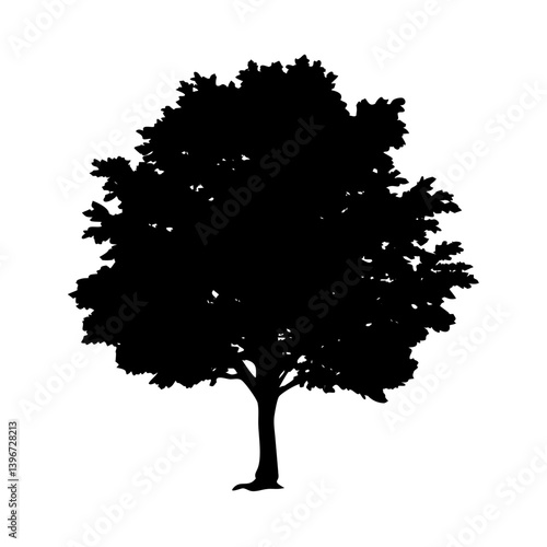 sycamore tree icon, sycamore tree silhouette vector illustration-simple silhouette illustration of sycamore tree, perfect for sycamore tree logos and icons