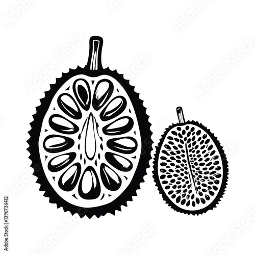 Durian Fruit Halves Spiky Skin, Creamy Pulp, Black and White, Tropical Food