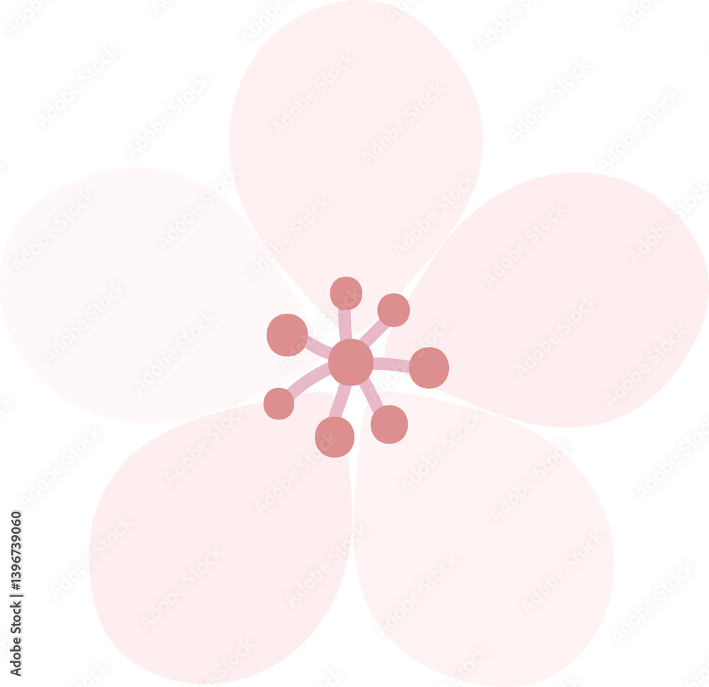 Fototapeta premium 벚꽃