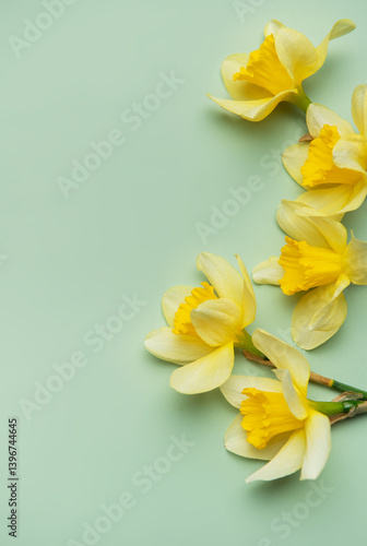 Daffodils creating a vibrant spring border on pastel green background