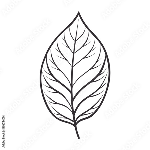 Obraz na płótnie Single leaf outline with detailed veins w salonie