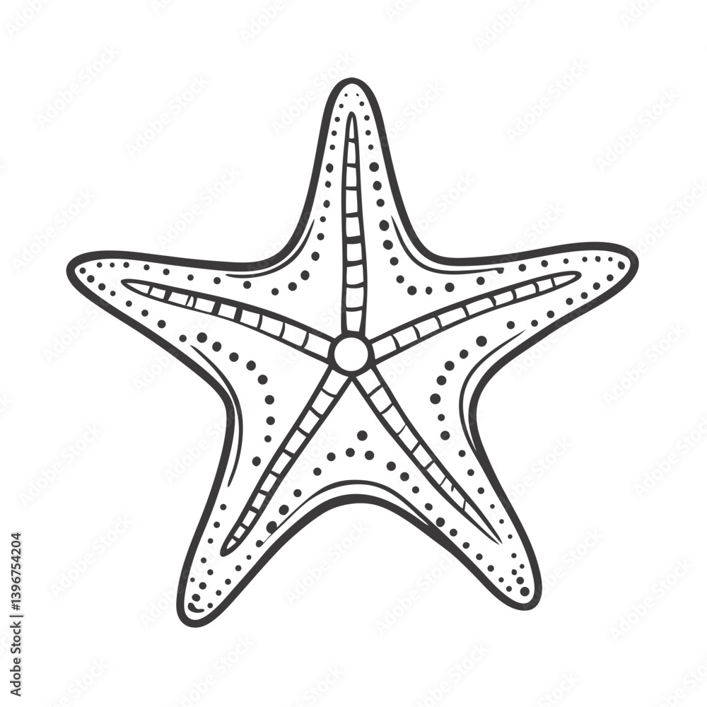 Starfish outline illustration in black and white