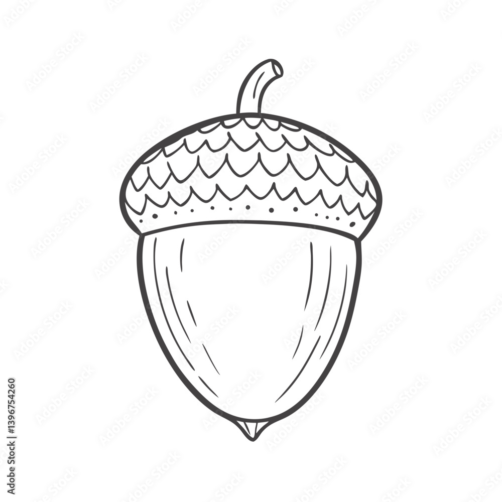 Acorn outline illustration in black and white