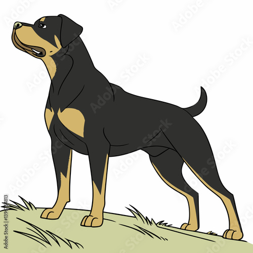 ​Rottweilers are powerful, loyal dogs with a rich history in guarding and protection