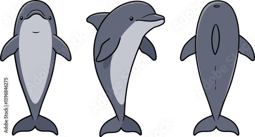 Three playful dolphins in a flat design style showcasing different perspectives and features, emphasizing their sleek bodies and friendly expressions in vector art