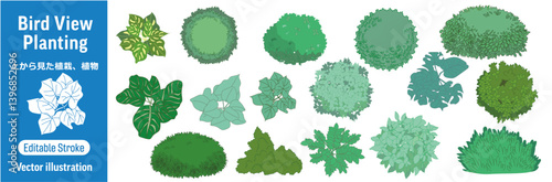 上から見た植栽・植物 鳥瞰図　ベクターイラストセット (編集可能/シンプル/デザイン) 
