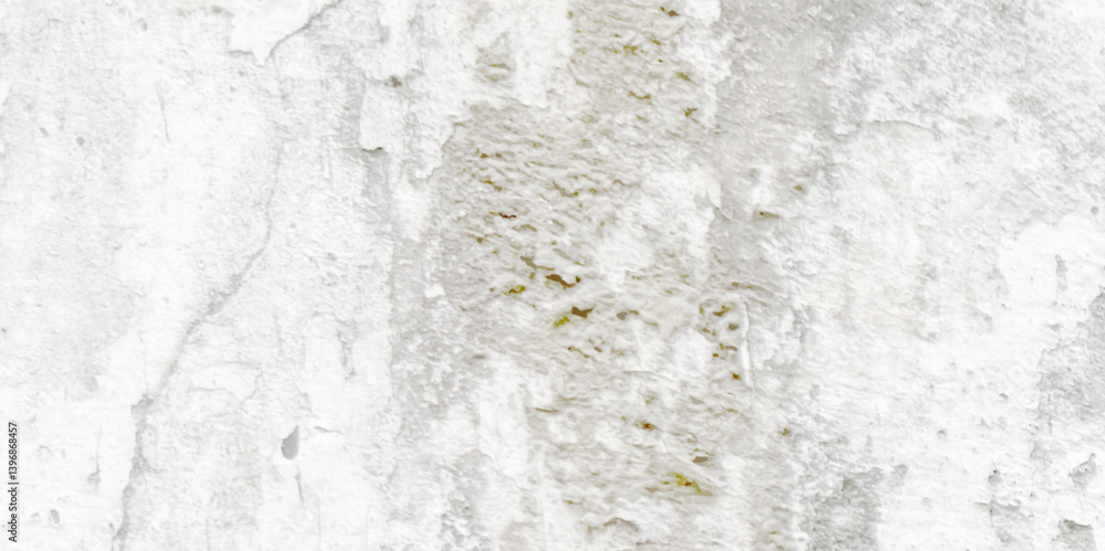 Fototapeta premium Abstract dust grunge particle and dust grain texture concrete wall grunge on white background Vector.