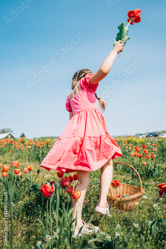 Girl in pink dress holding tulip high in blooming flower field