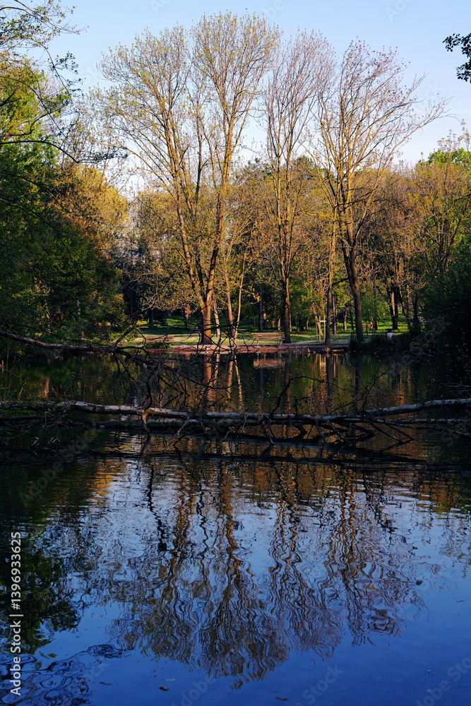 Obraz premium Alba in un parco cittadino