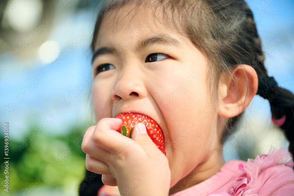 農園でいちご狩りを楽しむ女の子