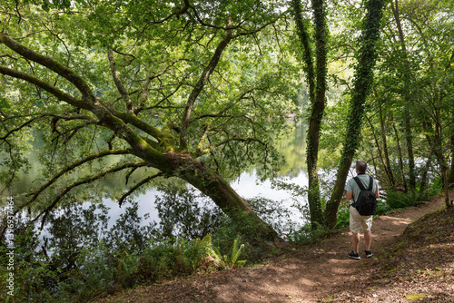 Riparian forest on the Ulla River near O Xirimbao, Galicia