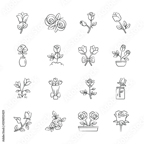 Get this beautifully designed hand drawn collection of roses
